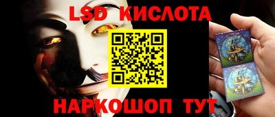 шишки Камышлов