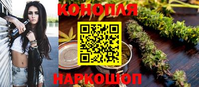 шишки Камышлов
