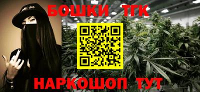 шишки Камышлов