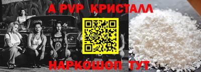 шишки Камышлов