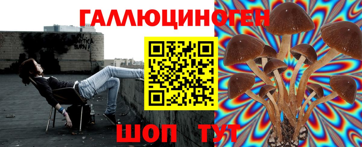 Псилоцибиновые грибы мицелий Магнитогорск