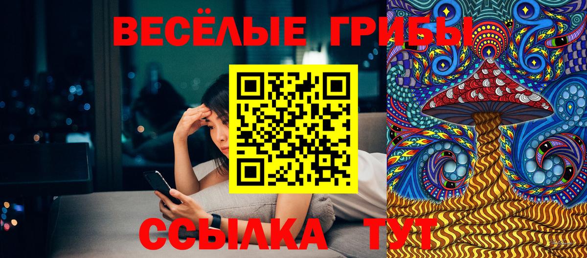 купить закладку  Псилоцибиновые грибы Psilocybe  Магнитогорск  Вход с VPN  Галлюциногенные грибы Psilocybine cubensis 